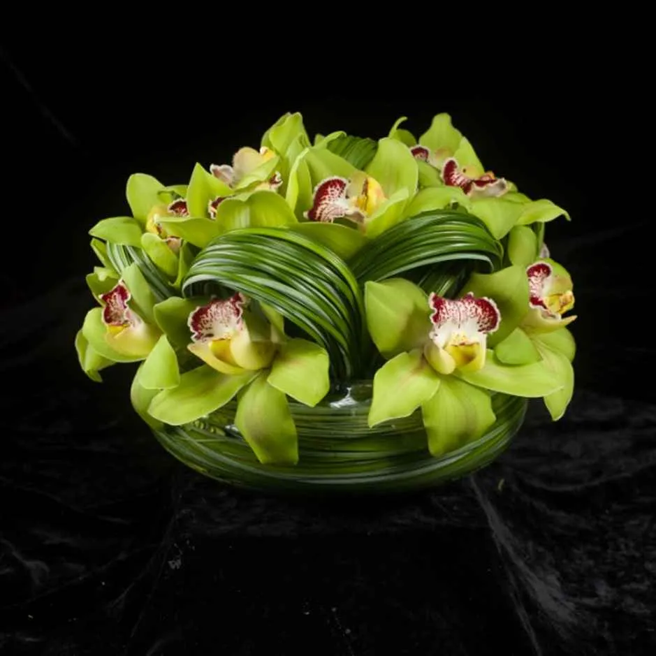 8.jpg Swirly Cymbidium Photo