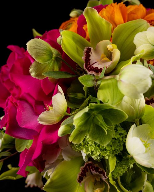 zoomed in photo of bouquet with hot pink roses, green Cymbidium Orchids, pink Tulips, Hellebores, and orange Ranunculus