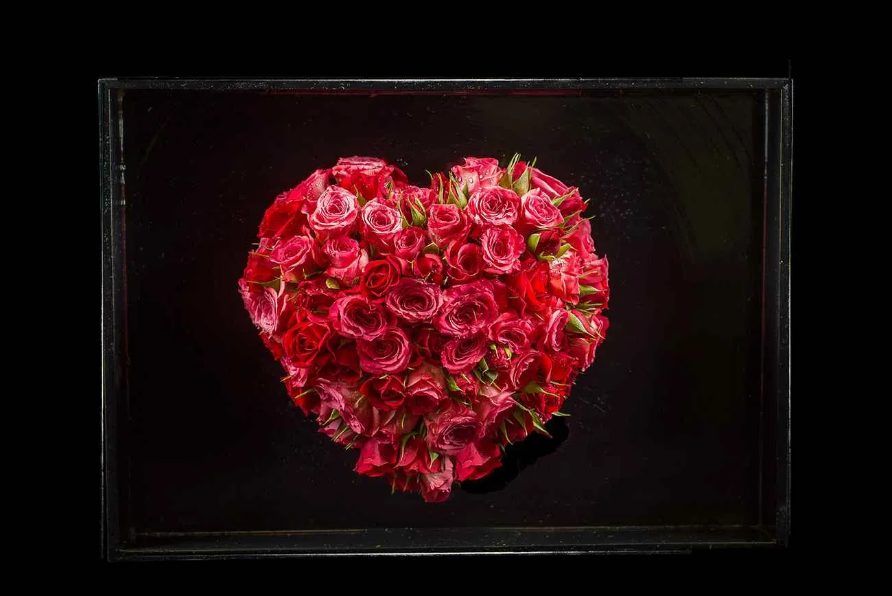 LOVE ALWAYS Photo