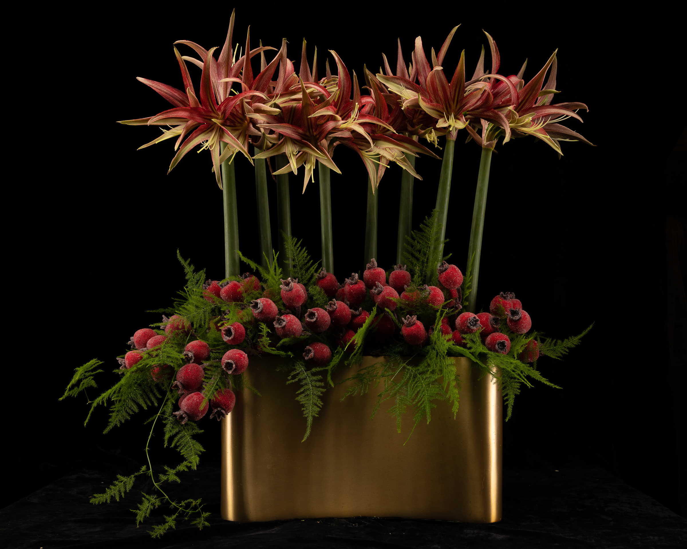 Pink Firework Flower Fireworks - Mahir Floral & Event Designs