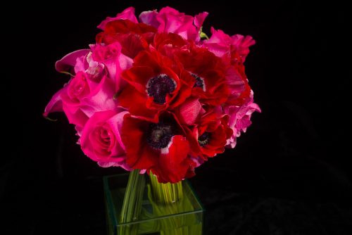 pink illusion