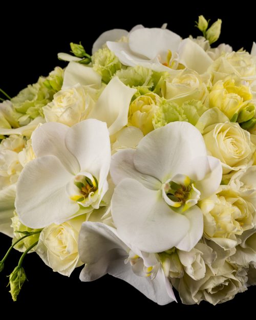 white flowers nyc