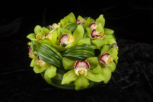 Swirly Cymbidium for delivery nyc