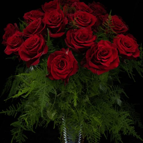two dozen red roses delivery in nyc