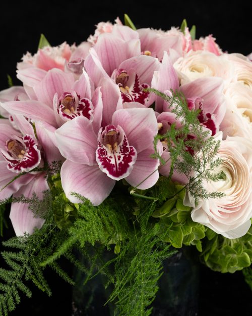 Red Cymbidium Orchid delivery nyc