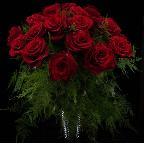 two dozen red roses delivery nyc