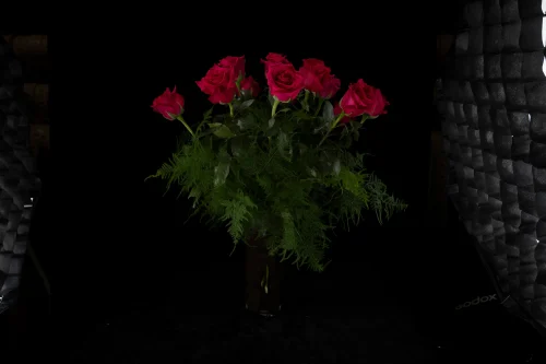 Mahir Floral & Event Designs - Coming up Pink Roses - 3