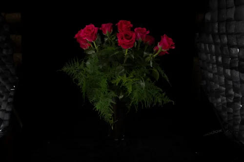Mahir Floral & Event Designs - Coming up Pink Roses - 2