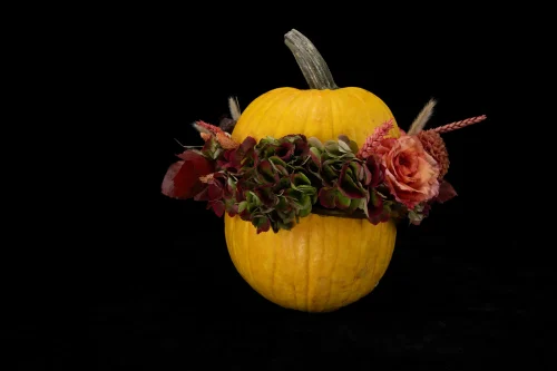 Mahir Floral & Event Designs - Squeeze Out - image 3