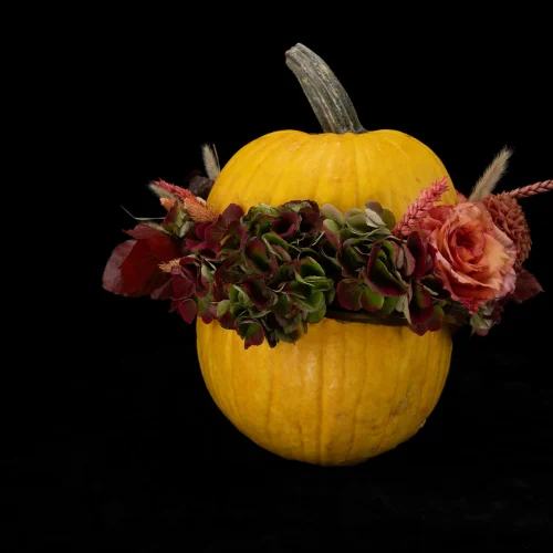 Mahir Floral & Event Designs - Squeeze Out - image 3