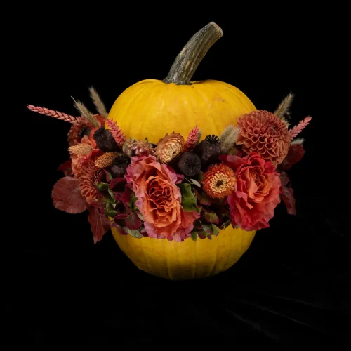 Mahir Floral & Event Designs - Squeeze Out
