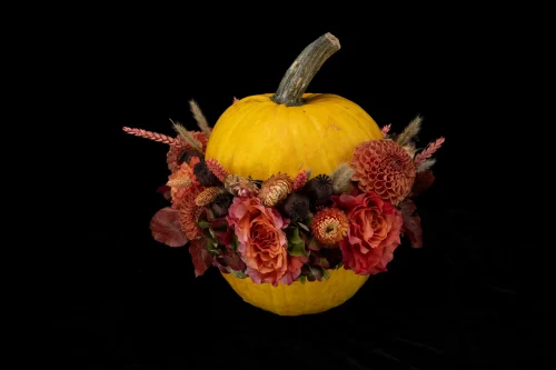 Mahir Floral & Event Designs - Squeeze Out -2