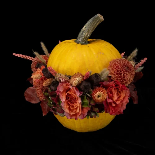 Mahir Floral & Event Designs - Squeeze Out -2
