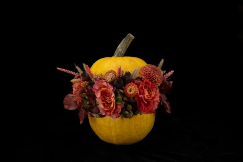 Mahir Floral & Event Designs - Squeeze Out