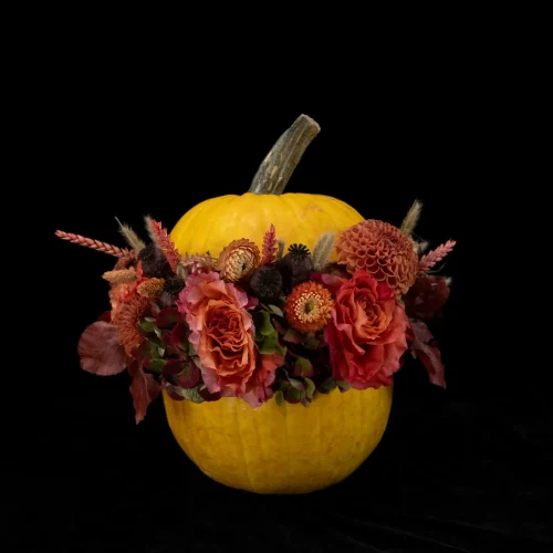 Mahir Floral & Event Designs - Squeeze Out