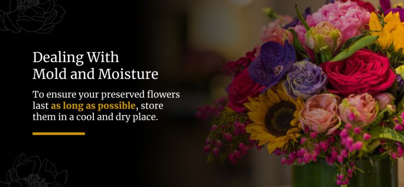 Dealing With Mold and Moisture