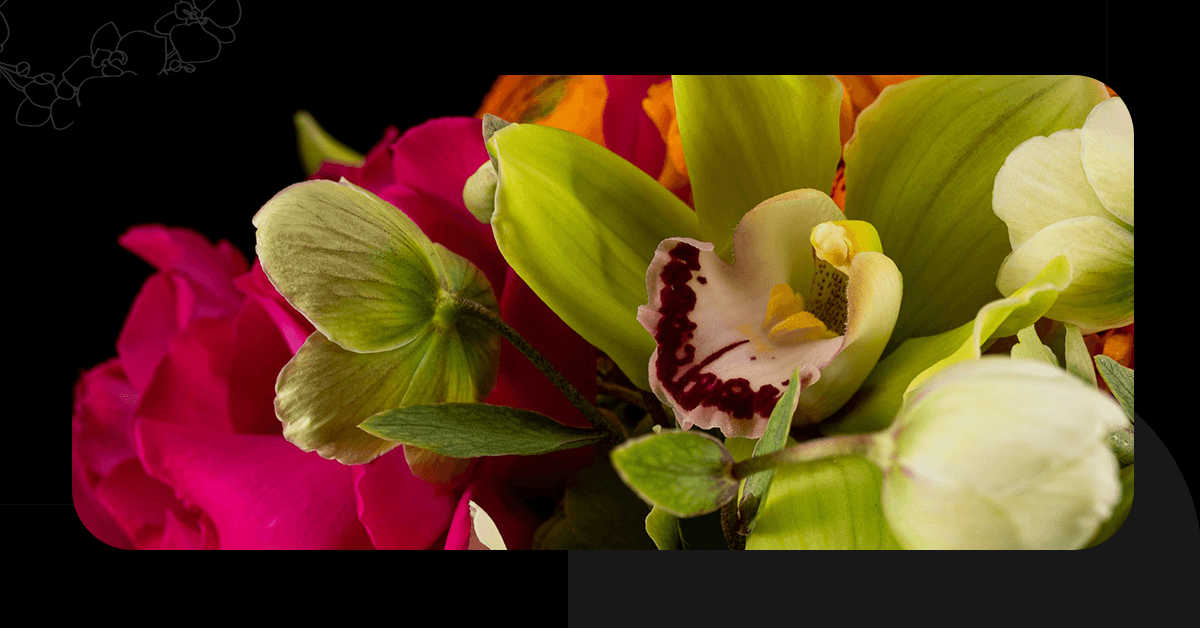 Spring Flowers in NYC: A Guide to the Season's Best